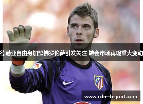 德赫亚自由身加盟佛罗伦萨引发关注 转会市场再现重大变动 德赫亚自由身加盟佛罗伦萨引发关注 转会市场再现重大变动