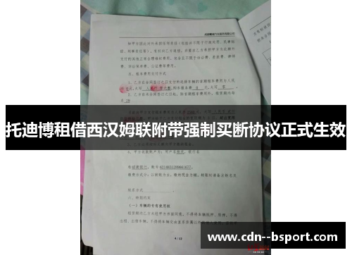 托迪博租借西汉姆联附带强制买断协议正式生效 托迪博租借西汉姆联附带强制买断协议正式生效