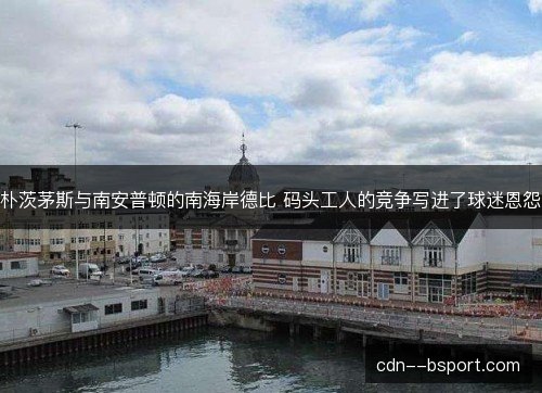 朴茨茅斯与南安普顿的南海岸德比 码头工人的竞争写进了球迷恩怨